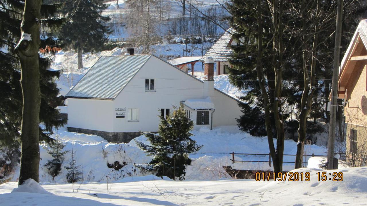 Villa Desny Kout Kouty Exterior foto